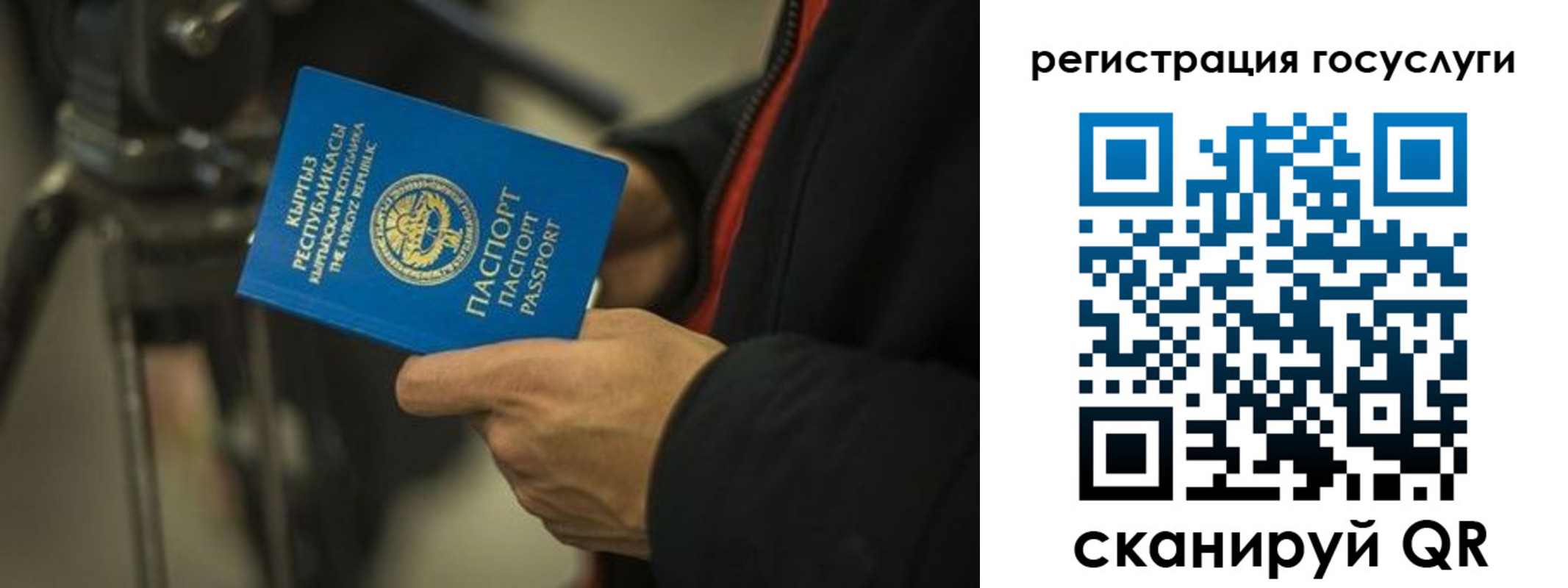 регистрация в Великих Луках
